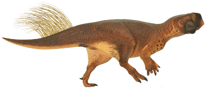 Мирные чудища мезозоя: 10 самых удивительных растительноядных динозавров