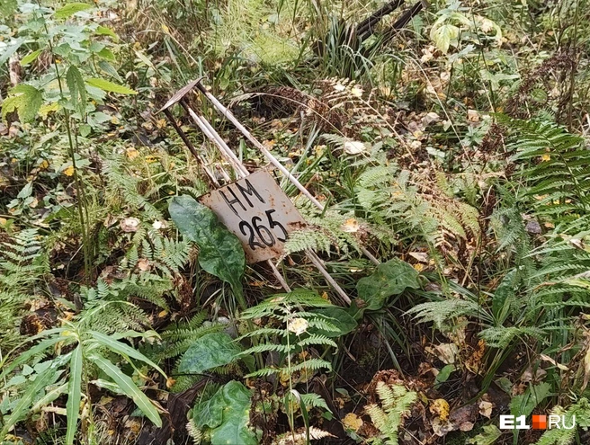 За этими могилами никто не ухаживает | Источник: Анастасия Никифорова / E1.RU