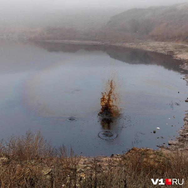 На деле это очень грязная вода | Источник: Алексей Волхонский / V1.RU