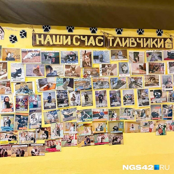 Источник: Елизавета Богатырева / NGS42.RU