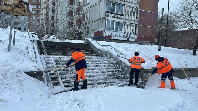 Источник: Мэрия Новосибирска/Telegram