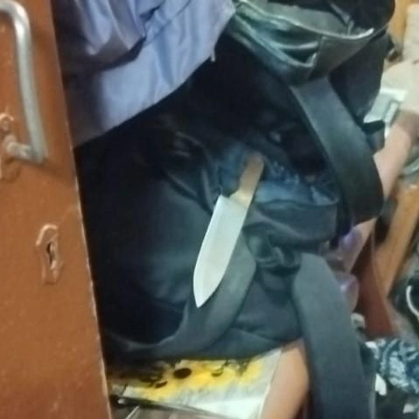 Источник: Вневедомственная охрана по СПб и ЛО