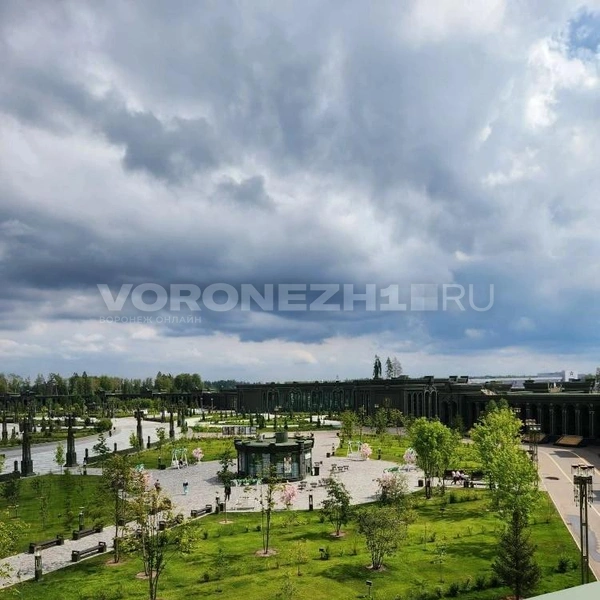 Источник: Ирина Булгакова/ Voronezh1.ru