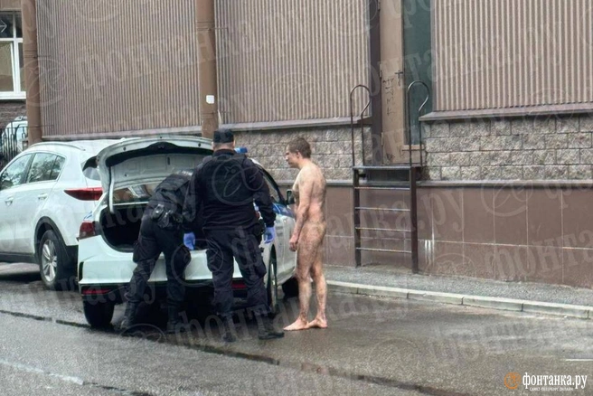 Ветер начал сдувать с петербуржцев одежду. Нагого мужчину заметили у детсада | Источник: читатель «Фонтанки»