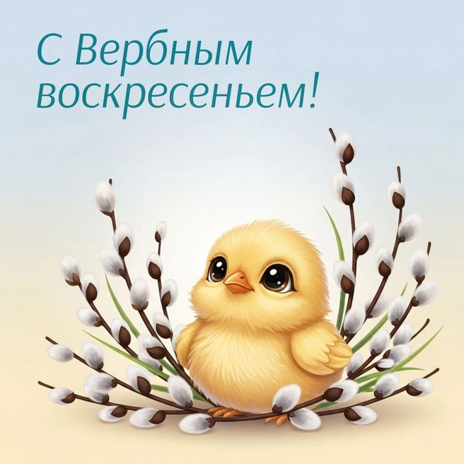 Источник: Городские медиа
