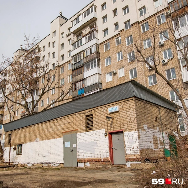 Источник: Тимофей Калмаков / 59.RU