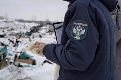 Компанию «Невские пески» обязали восстановить испорченные поля