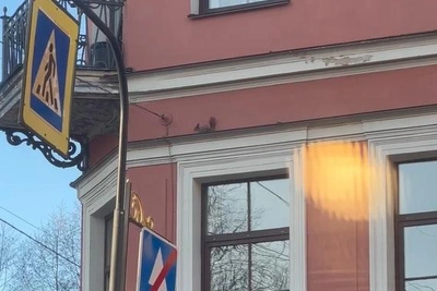 Заблудившуюся в центре Петербурга белку поймали в доме Бака