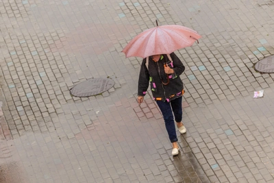 Дожди придут в Свердловскую область на этой неделе