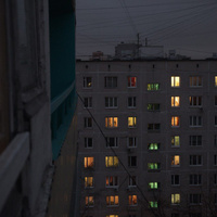 Аватарка полынь