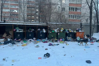 Жители Читы жалуются на мусор во дворе по 1-й Московской