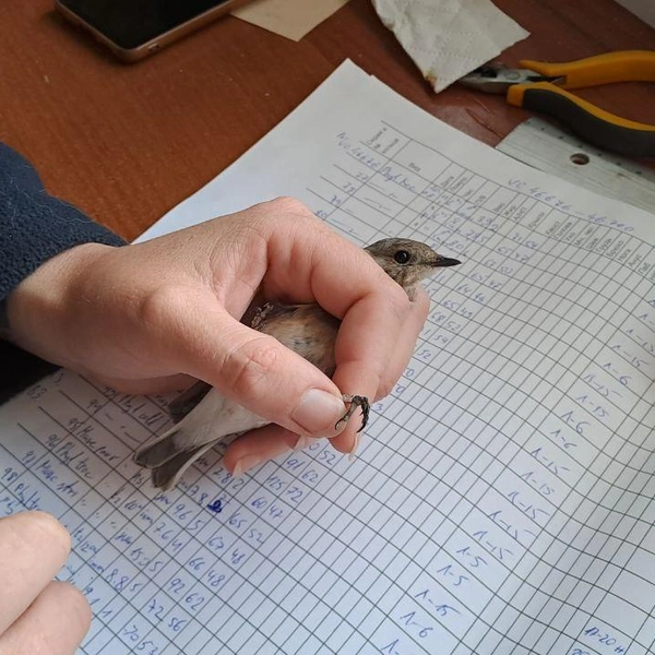 Источник: Юлия Яковлева / «Фонтанка.ру»