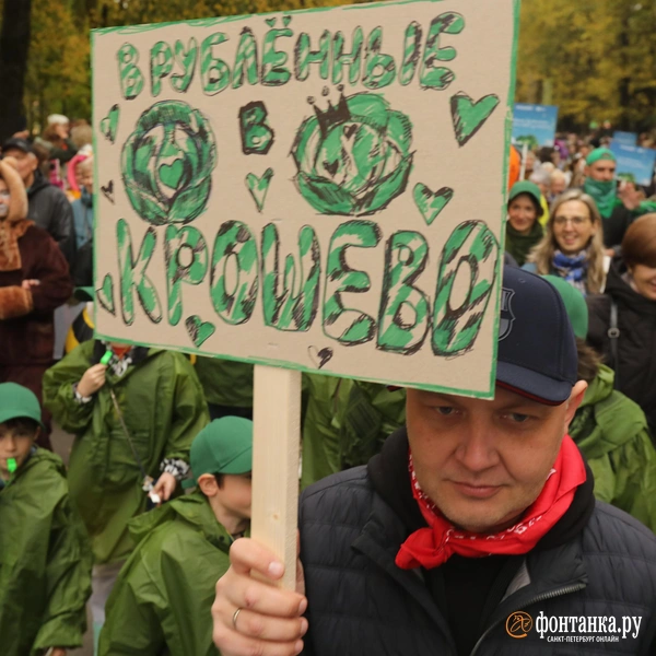 Источник: Ксения Потеева / FONTANKA.RU