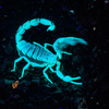 userpic__SvetochekRom