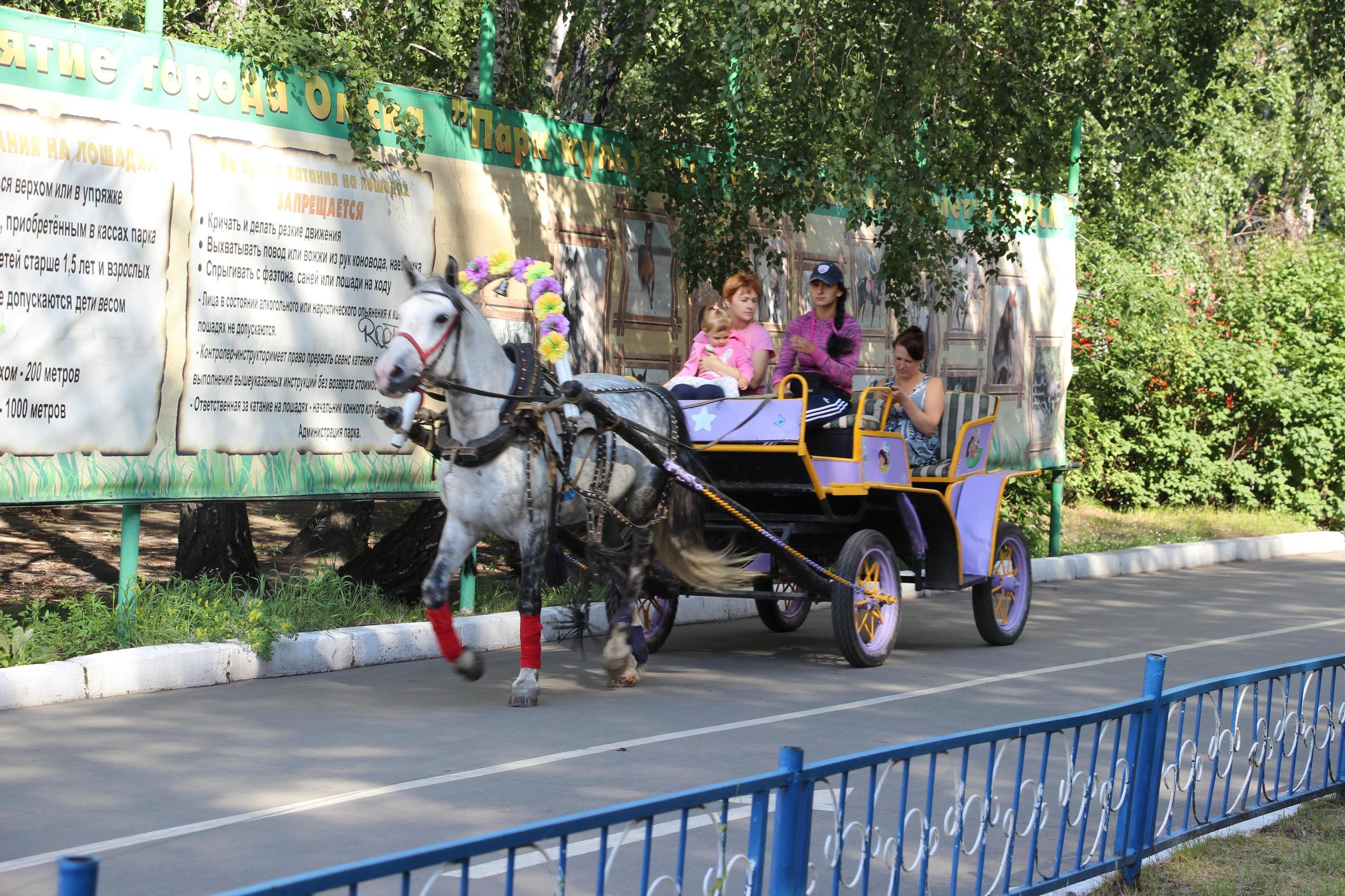 В Новосибирске пройдет фестиваль духовых оркестров на площади Ленина - 21  июня 2023 - НГС.ру