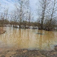 Источник: www.city-n.ru