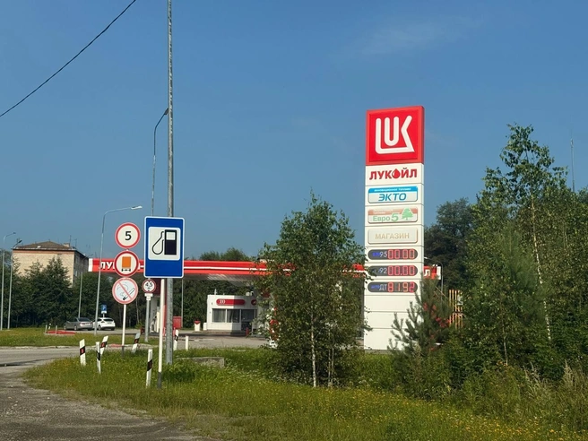 Заправка возле поселка Лосиный: бензин отсутствует, в наличии только дизельное топливо. | Источник: Дарья Костомина / E1.RU