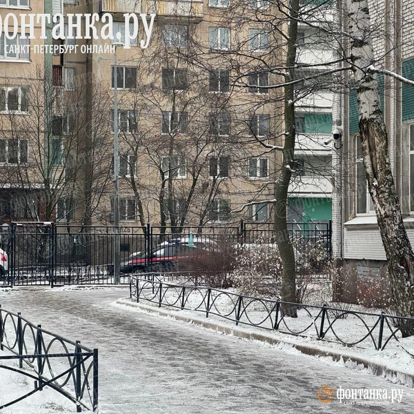 Источник: Ирина Лысак / «Фонтанка.ру»