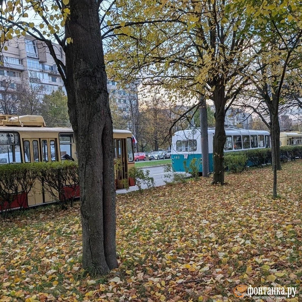Источник: Федор Данилов / FONTANKA.RU