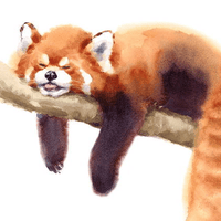 Аватарка Lilien