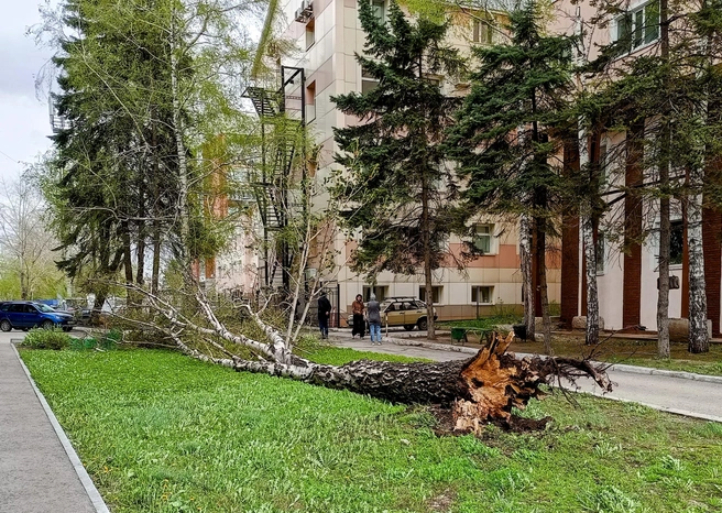 Источник: читатель 63.RU