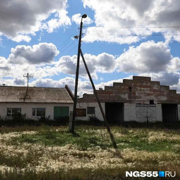 В двух коровниках размещалось около 400 буренок | Источник: Евгений Софийчук / NGS55.RU