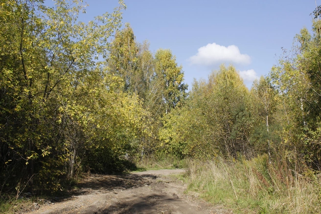 Где-то здесь когда-то должен пройти Красный проспект | Источник: Стас Соколов/NGS.RU