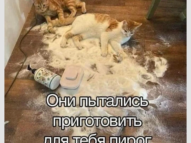 Они старались, ругать за это точно нельзя | Источник: Городские медиа