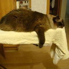 Прогноз погоды и предупреждение о рисках на ближайшие трое суток в Новокузнецке и Кузбассе | Источник: www.city-n.ru