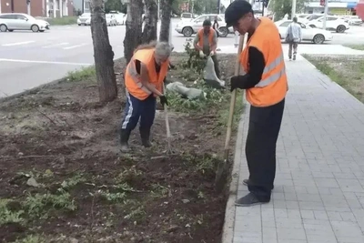 Благовещенск продолжает озеленение: 20 тысяч квадратных метров газонов
