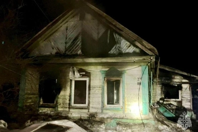 Cats, parrot, and chinchilla killed in Tatishchevo fire