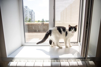 Отопление в Новосибирске отключат 29 апреля — рекорд 2002 года