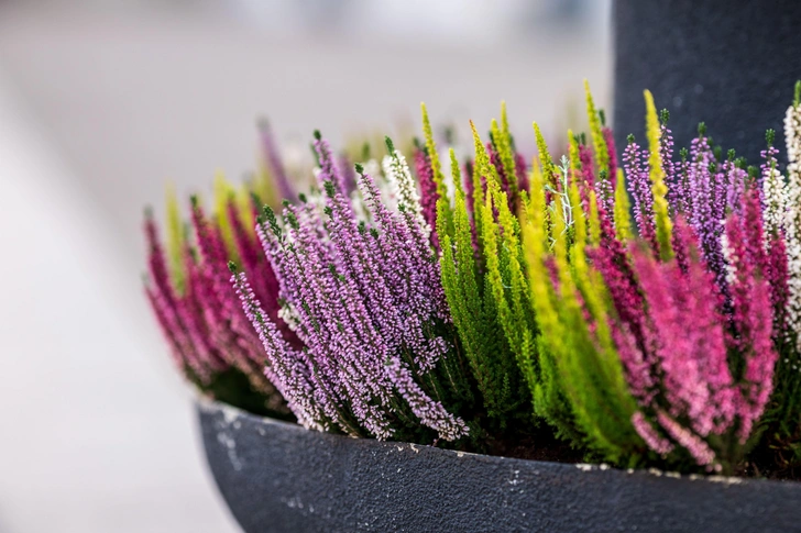 Источник: Legion Media