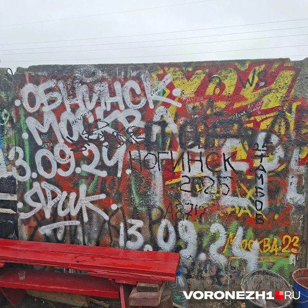Источник: Алёна Воропаева / Voronezh1.ru