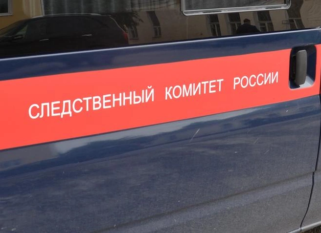 Под Серпуховом два мальчика провалились под лед, один погиб | ya62.ru