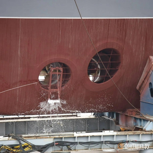 Источник: Валентин Егоршин / «Фонтанка.ру»