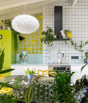 Комнатные растения, которые не боятся отопления