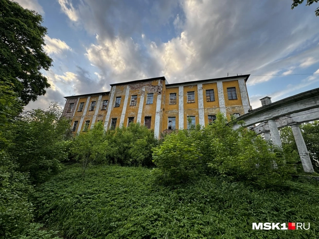 Источник: Алина Мельникова / MSK1.RU