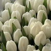 userpic__vktrkodenko