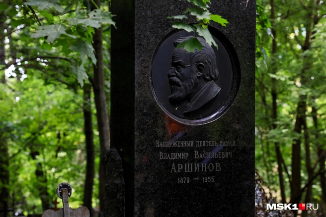 Источник: Артём Устюжанин / MSK1.RU
