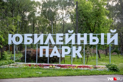 Служебная проверка после травмы ребенка в парке Ярославля