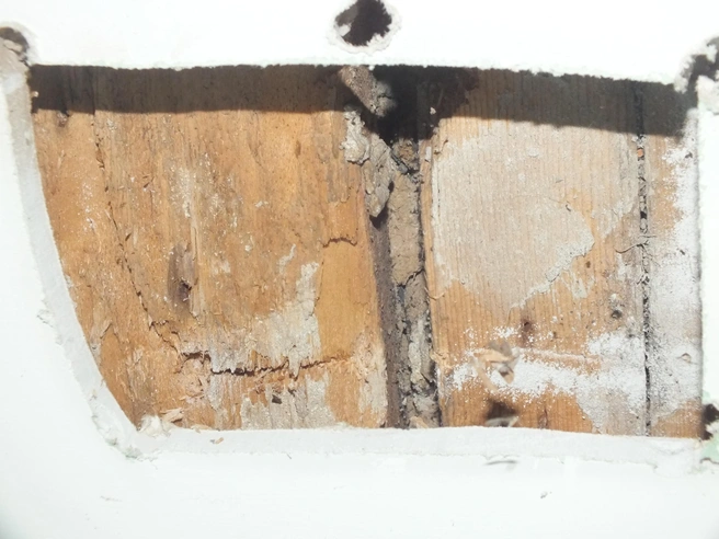 Балки деревянных перекрытий частично сгнили | Источник: Читатель NGS.ru