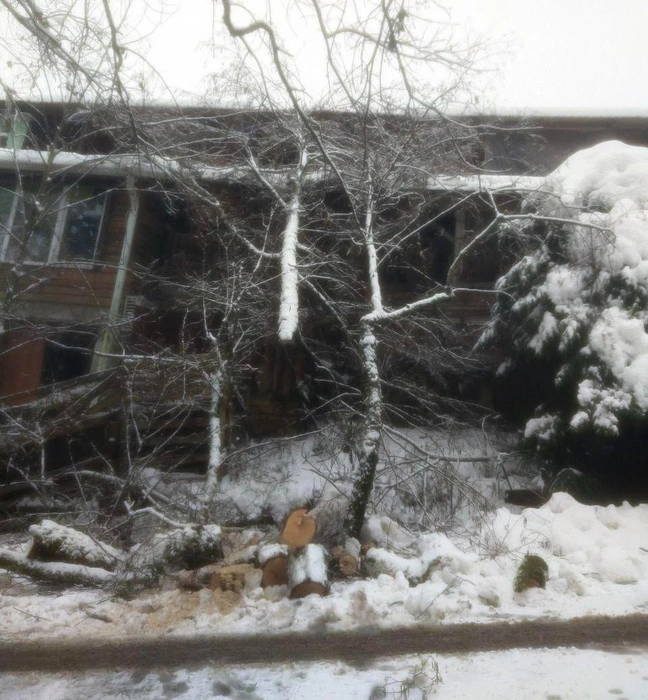 Дерево упало на дом Ольги Носковец  | Источник: предоставлено Ольгой Носковец