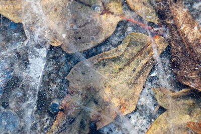 В Кузбасс возвращаются крепкие морозы