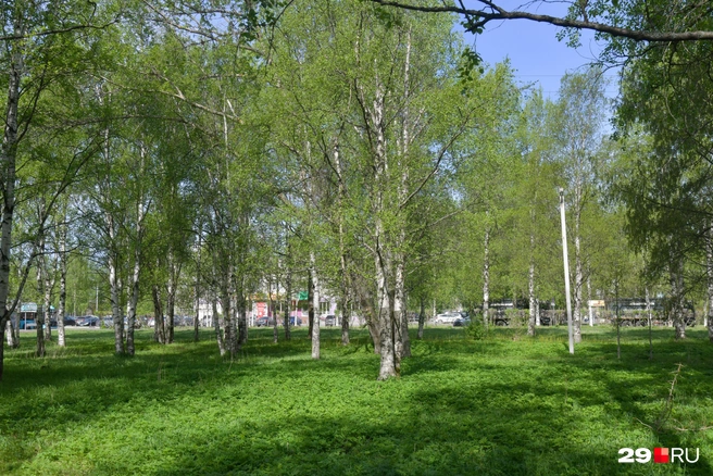 Источник: Иван Митюшёв