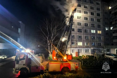 Пожар в Челябинске: 50 жителей покинули многоэтажку