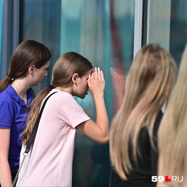 Подростки разглядывают барсов | Источник: Василина Любимова / 59.RU