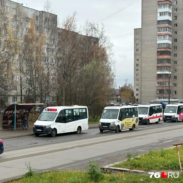 В городе много маршруток | Источник: Екатерина Тарыгина / 76.RU