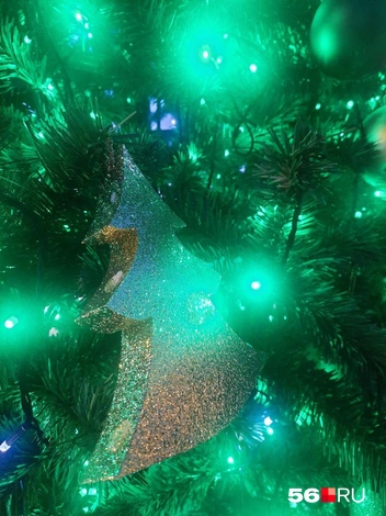 И они приглянулись ворам | Источник: Анастасия Баринова / 56.RU