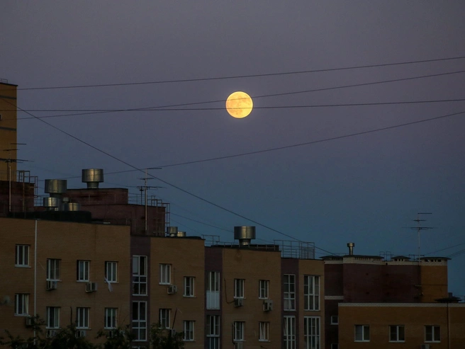 В ночь на 4 января 2026 года ожидается первое полнолуние, известное как Волчья Луна. | Источник: Наталья Бурухина / NN.RU